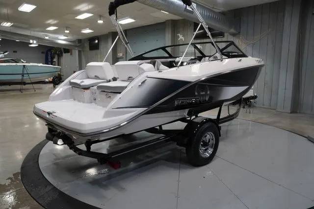 Slide: The Image of Scarab 195 2017 - 6