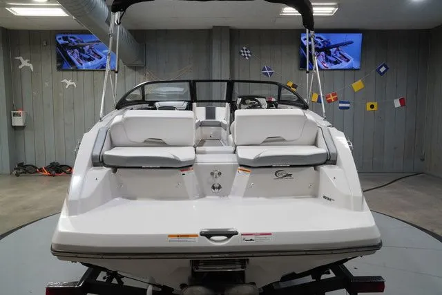 Slide: The Image of Scarab 195 2017 - 7