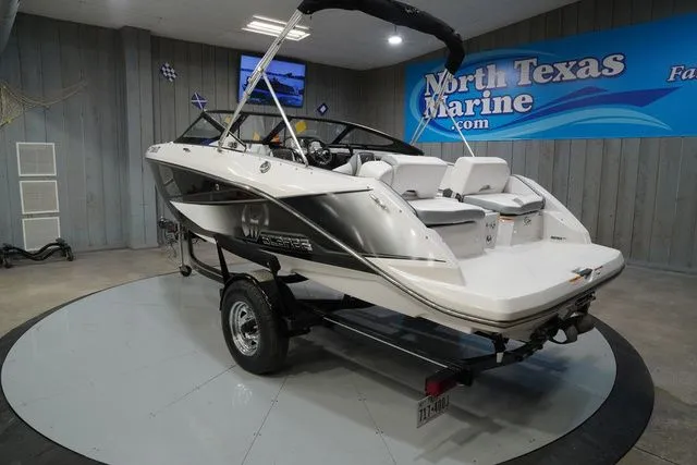 Slide: The Image of Scarab 195 2017 - 8