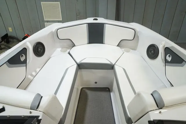 Slide: The Image of Scarab 195 2017 - 9