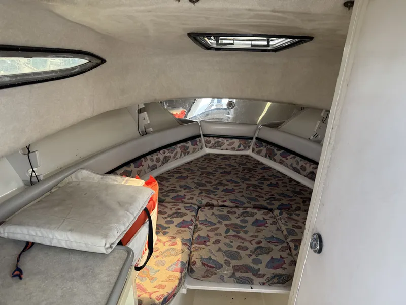 Slide: The Image of Hydra-Sports 2650 WA 1999 - 7