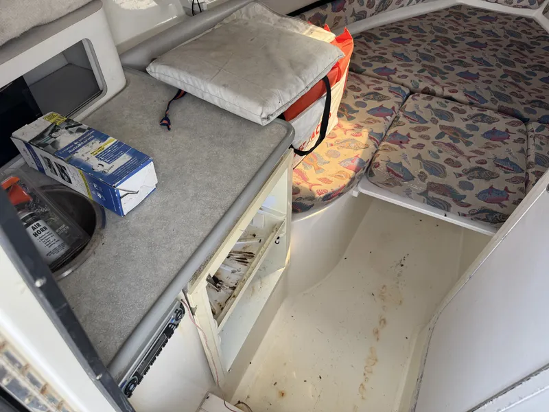 Slide: The Image of Hydra-Sports 2650 WA 1999 - 8