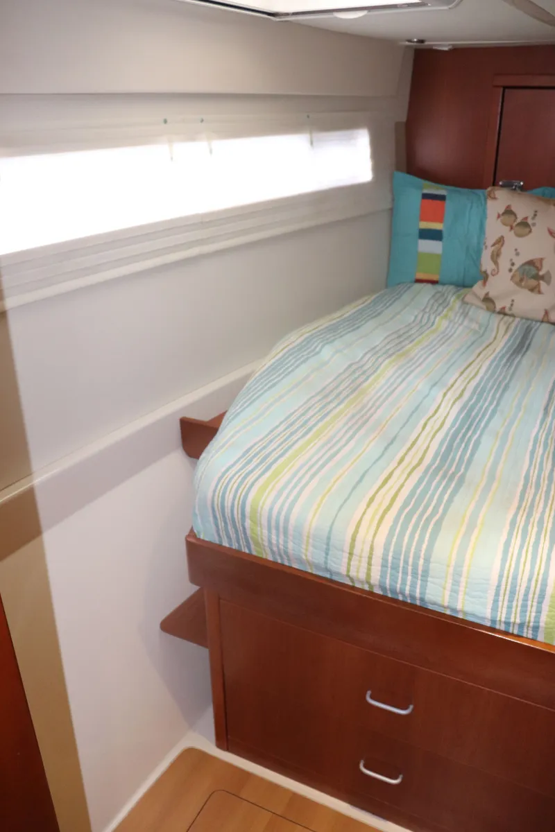 Slide: The Image of Leopard 48 2013 - 100