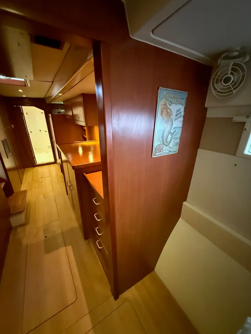 Slide: The Image of Leopard 48 2013 - 16