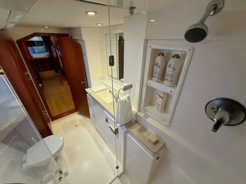 Slide: The Image of Leopard 48 2013 - 23