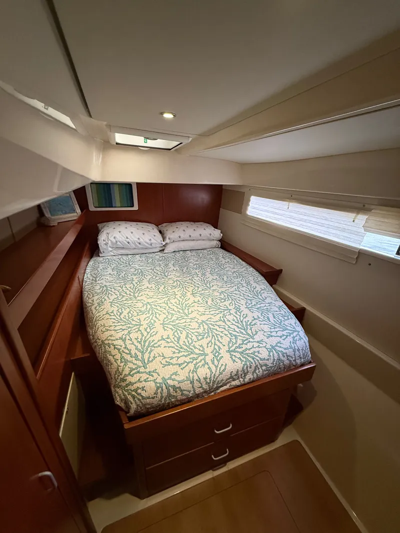 Slide: The Image of Leopard 48 2013 - 26