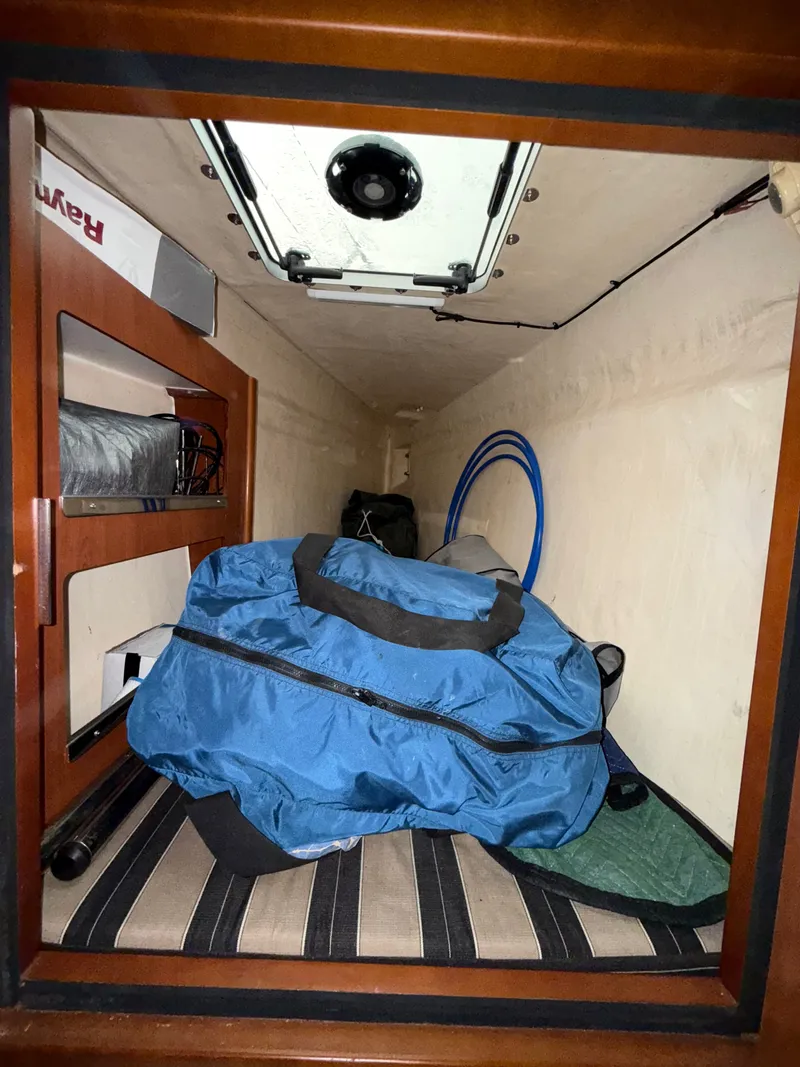 Slide: The Image of Leopard 48 2013 - 34