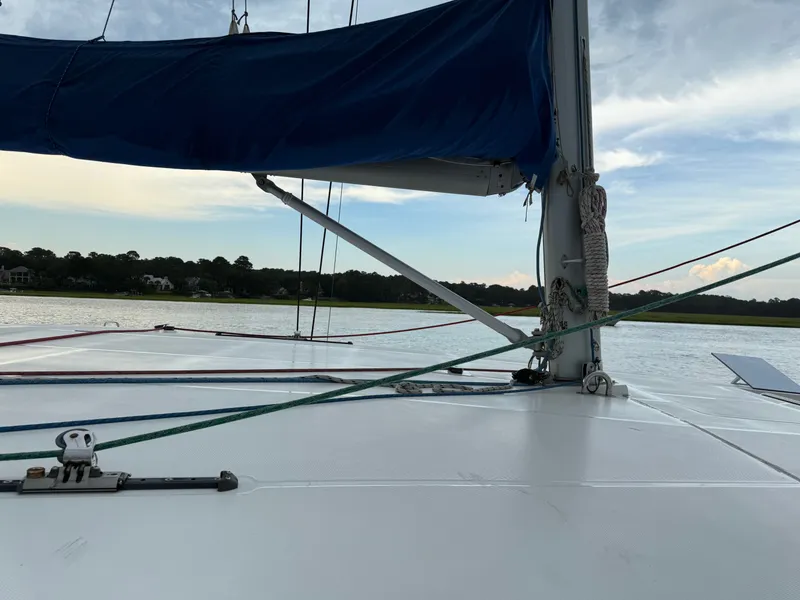 Slide: The Image of Leopard 48 2013 - 40