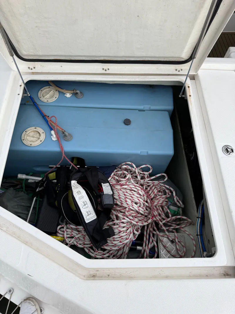 Slide: The Image of Leopard 48 2013 - 47