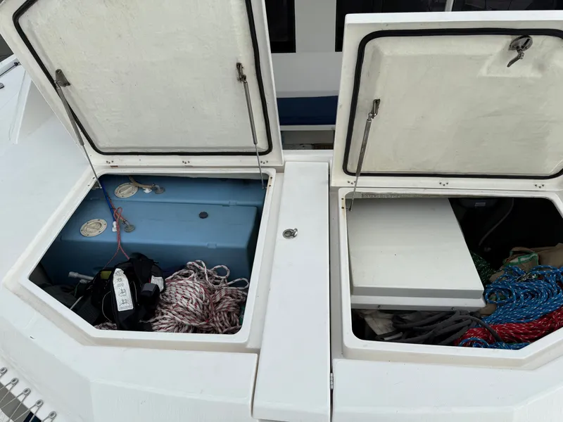 Slide: The Image of Leopard 48 2013 - 48