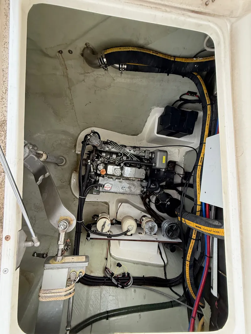 Slide: The Image of Leopard 48 2013 - 50