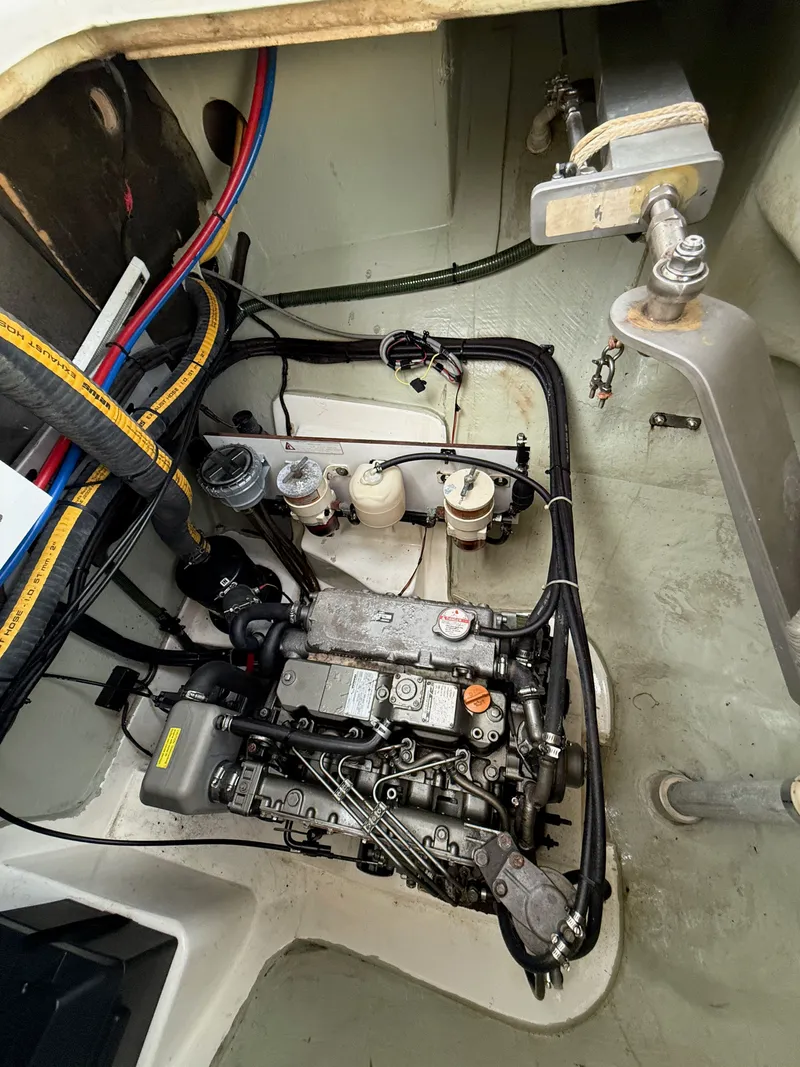 Slide: The Image of Leopard 48 2013 - 51