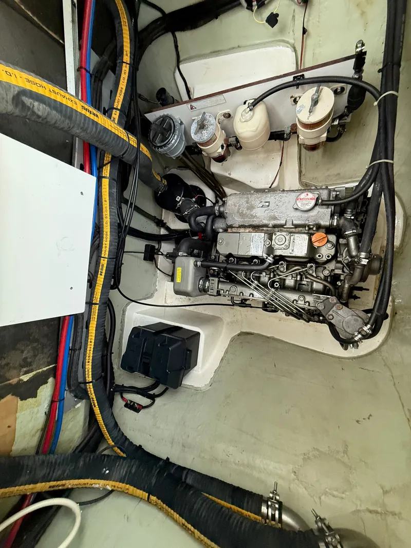 Slide: The Image of Leopard 48 2013 - 52