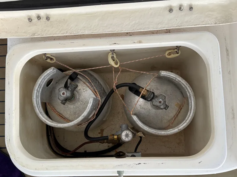 Slide: The Image of Leopard 48 2013 - 55