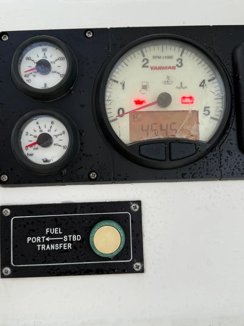 Slide: The Image of Leopard 48 2013 - 58