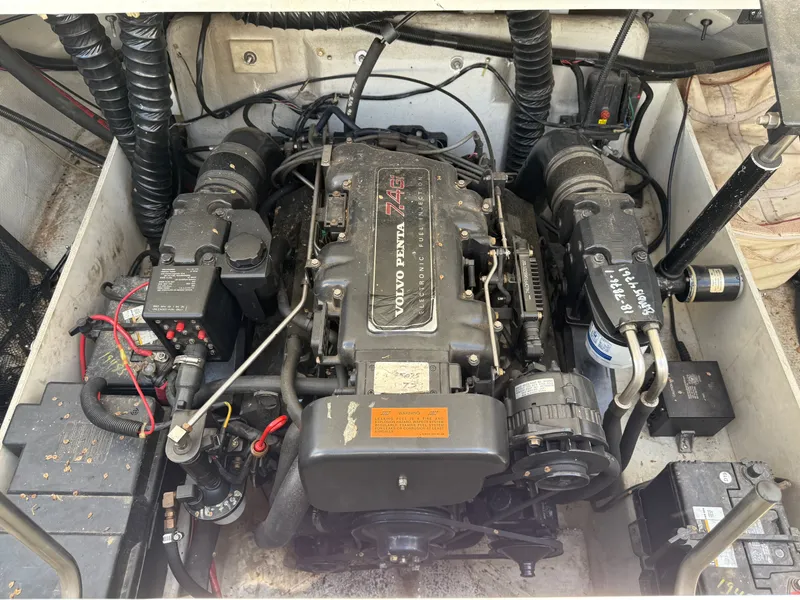 Slide: The Image of Cobalt 252 1997 - 30