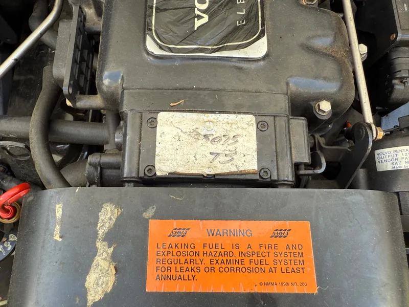 Slide: The Image of Cobalt 252 1997 - 31