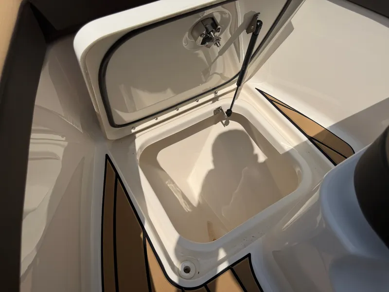 Slide: The Image of Sea Ray SDX 250 Outboard 2026 - 73