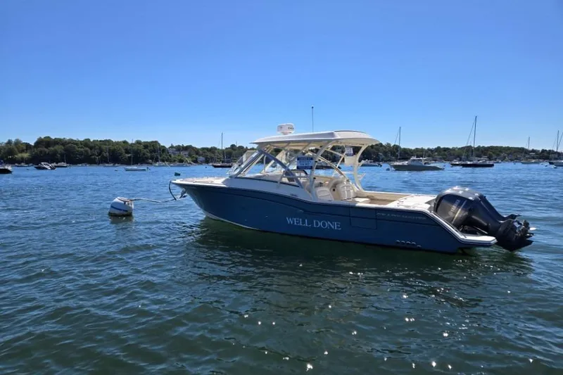 The Image of Profile - 0