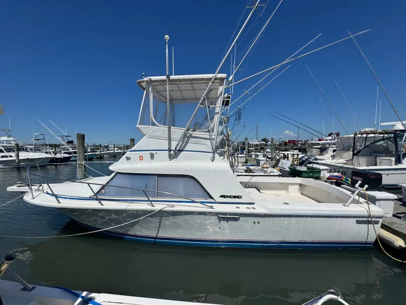 The Image of Phoenix Bass Boat 29 Convertible 1987 - 0