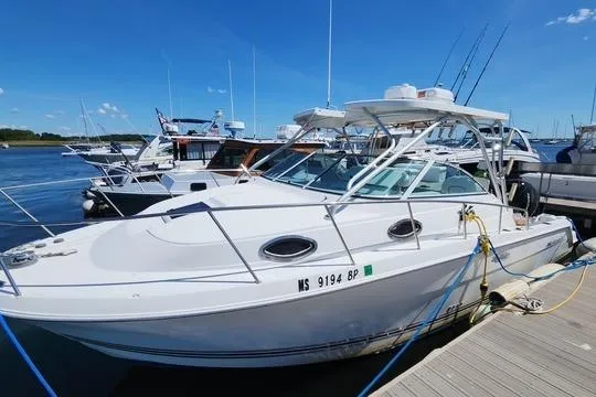 The Image of 2001 Wellcraft 2900 Coastal WA boat docked at marina under clear blue sky. - 0