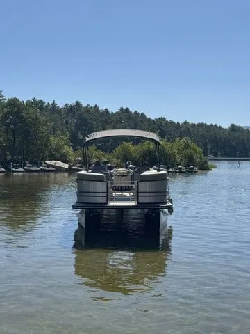 Slide: The Image of Sylvan 8524 LZ 2025 - 3