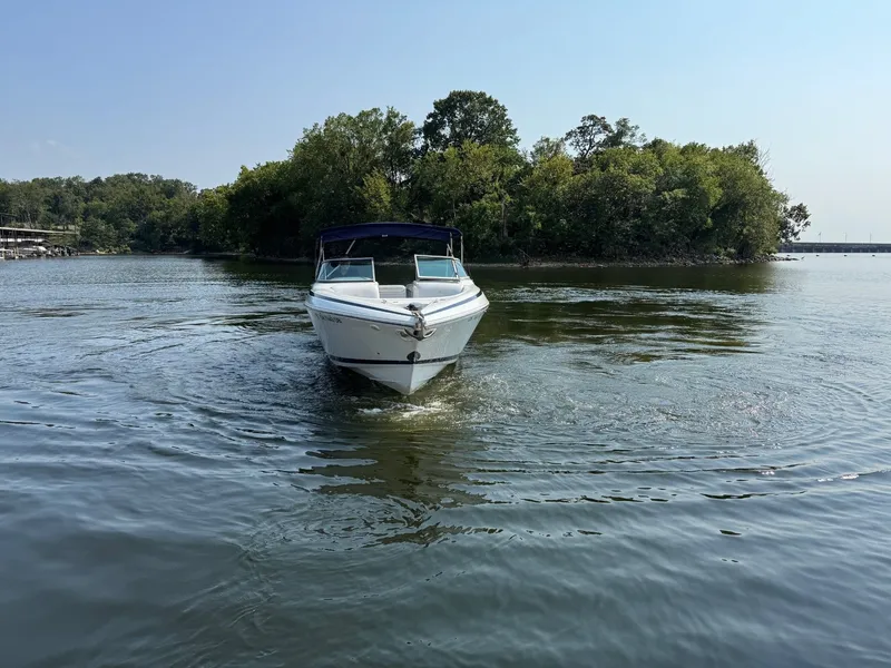 Slide: The Image of Cobalt 292 2000 - 4