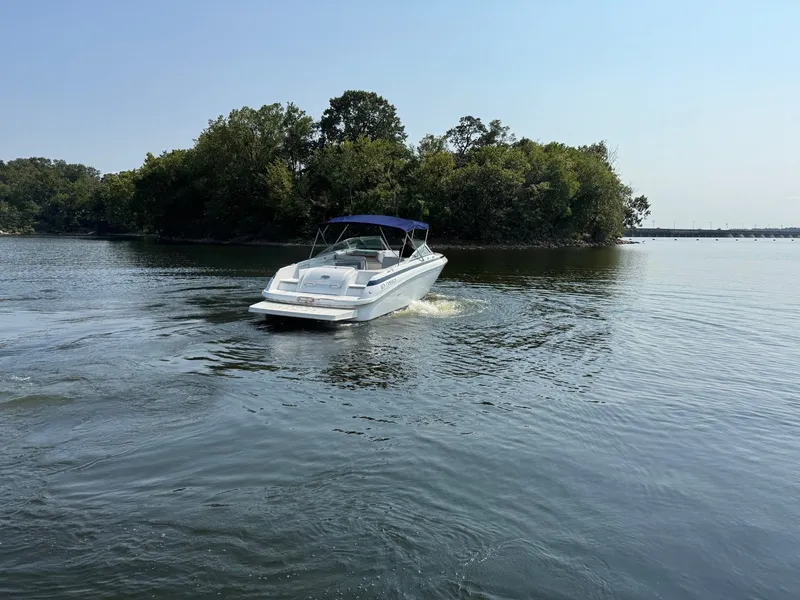 Slide: The Image of Cobalt 292 2000 - 5