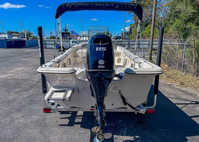 Slide: The Image of Carolina 19 LS 2026 - 4