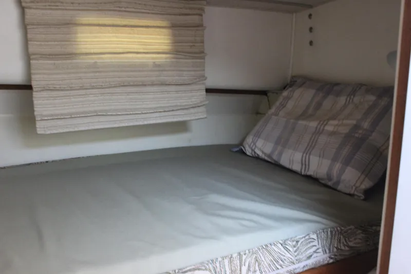 Slide: The Image of Bertram 33II Flybridge Cruiser 1988 - 51