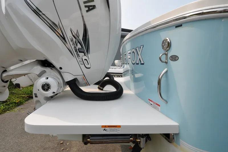 Slide: The Image of Regulator 31 - Blue Fox - 13