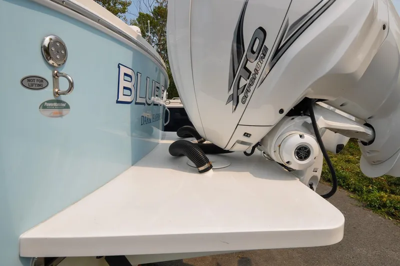 Slide: The Image of Regulator 31 - Blue Fox - 14