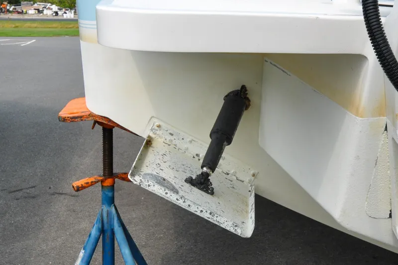 Slide: The Image of Regulator 31 - Blue Fox - 2