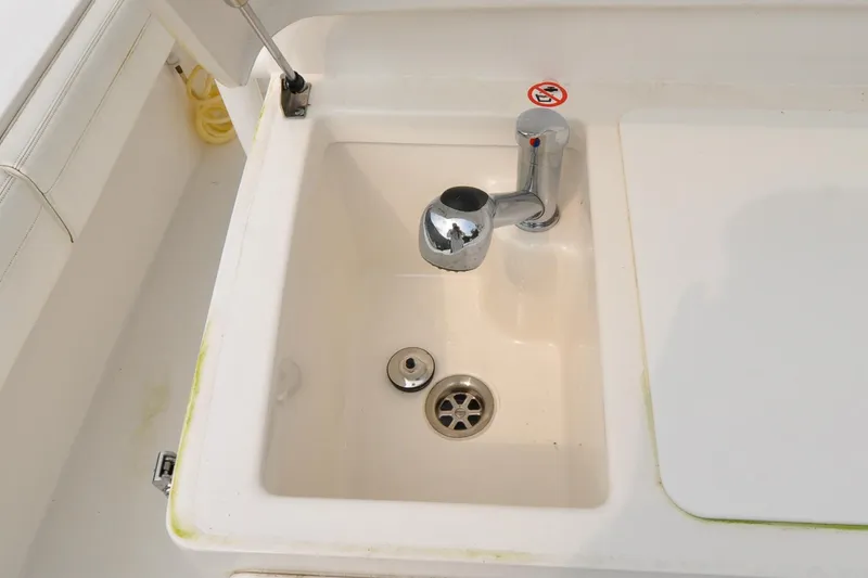 Slide: The Image of Regulator 31 - Blue Fox - 20