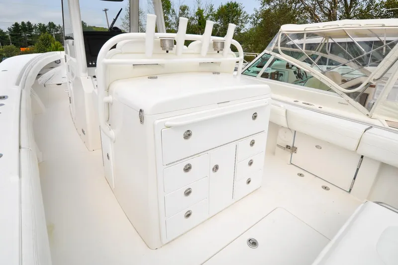 Slide: The Image of Regulator 31 - Blue Fox - 21