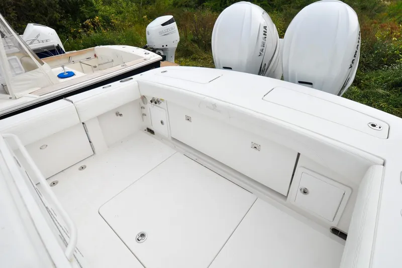 Slide: The Image of Regulator 31 - Blue Fox - 24