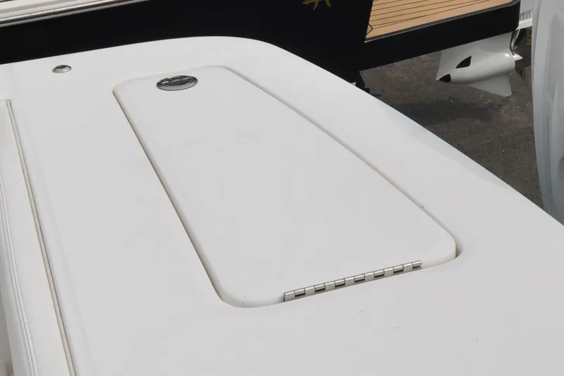 Slide: The Image of Regulator 31 - Blue Fox - 25