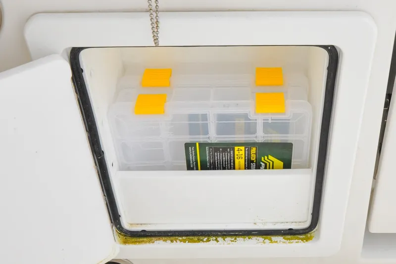 Slide: The Image of Regulator 31 - Blue Fox - 29