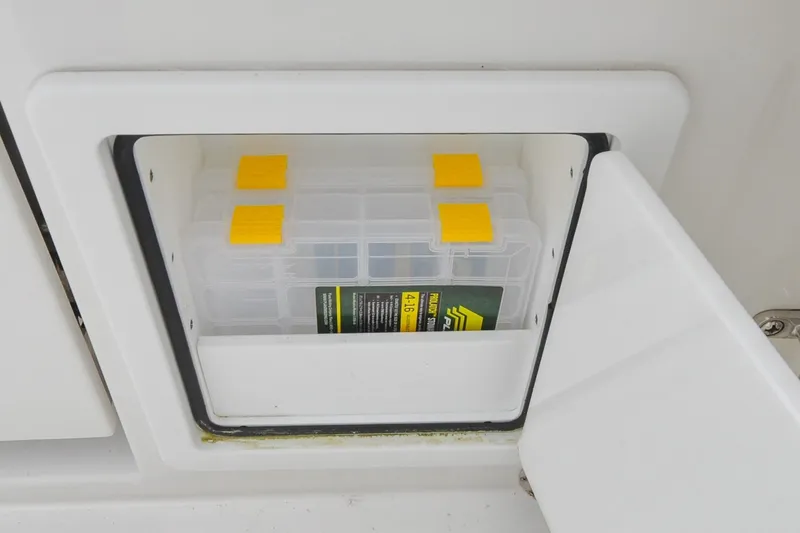 Slide: The Image of Regulator 31 - Blue Fox - 34