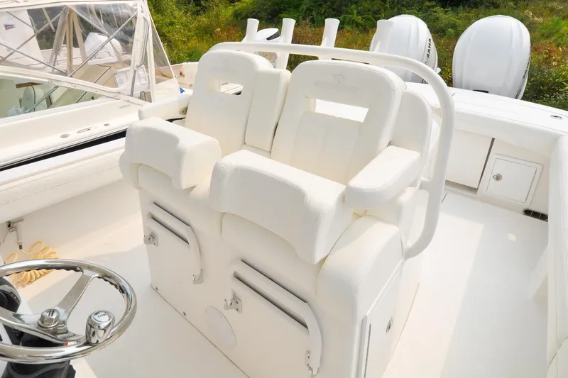 Slide: The Image of Regulator 31 - Blue Fox - 40