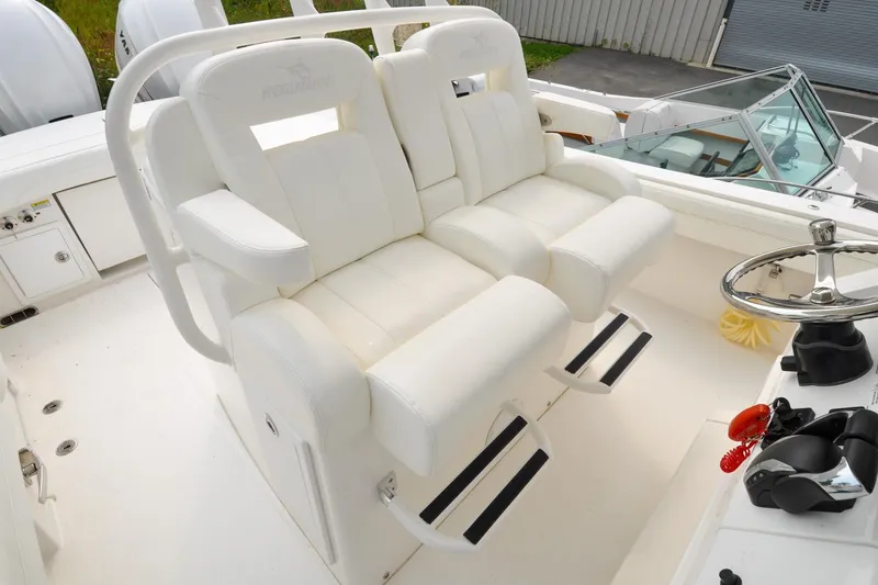 Slide: The Image of Regulator 31 - Blue Fox - 43