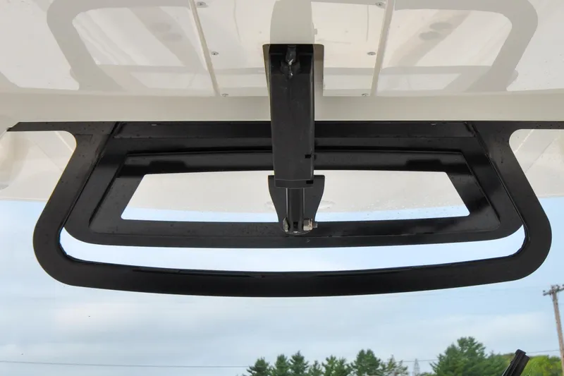 Slide: The Image of Regulator 31 - Blue Fox - 46