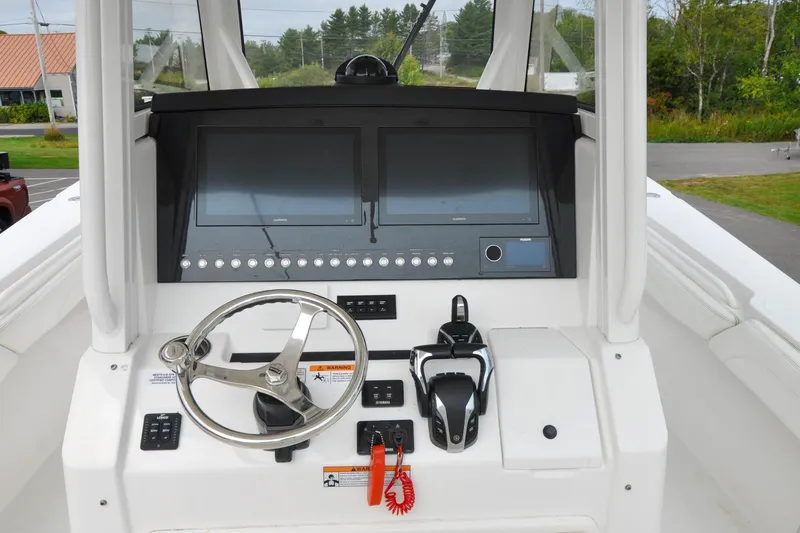 Slide: The Image of Regulator 31 - Blue Fox - 47