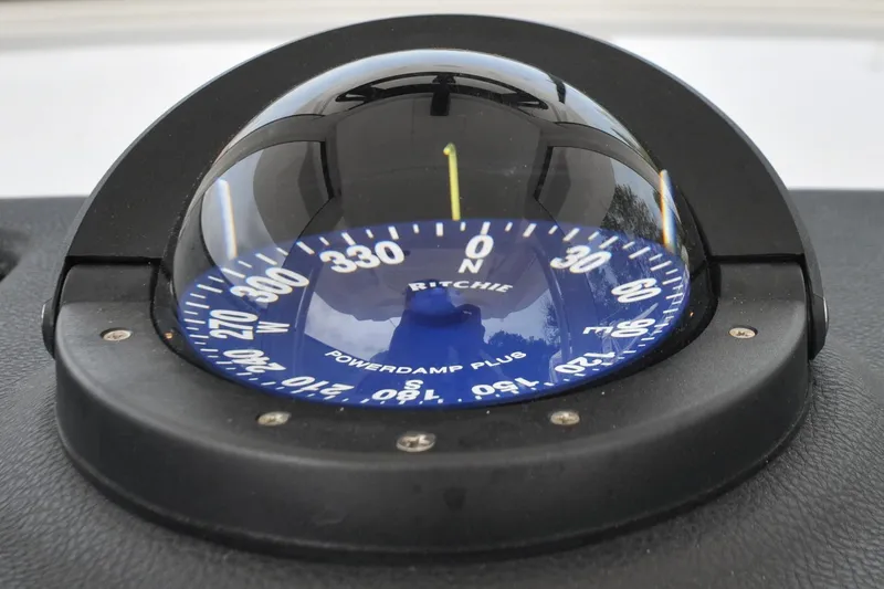 Slide: The Image of Regulator 31 - Blue Fox - 48