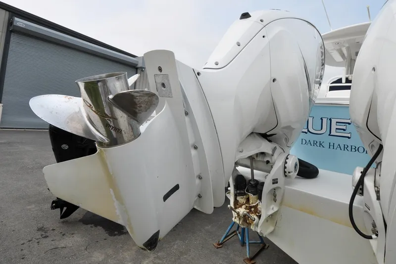 Slide: The Image of Regulator 31 - Blue Fox - 5