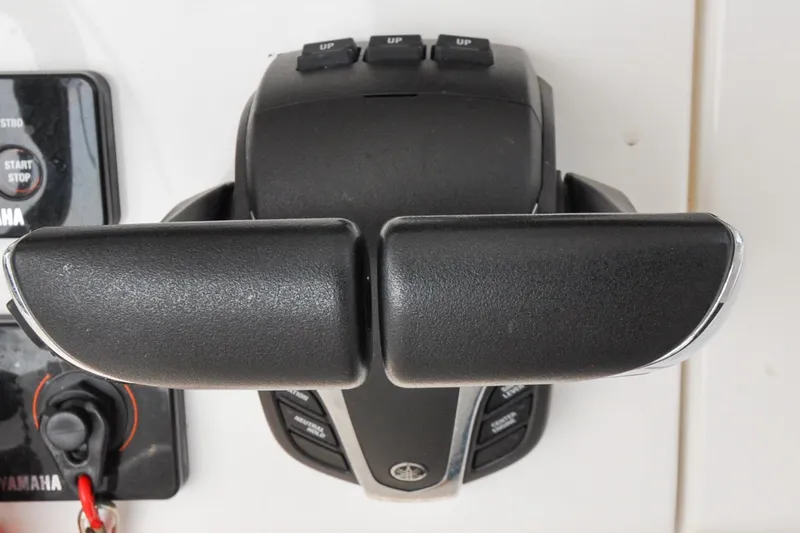 Slide: The Image of Regulator 31 - Blue Fox - 59