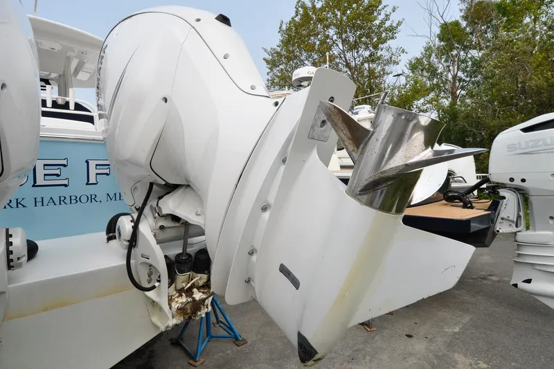 Slide: The Image of Regulator 31 - Blue Fox - 6