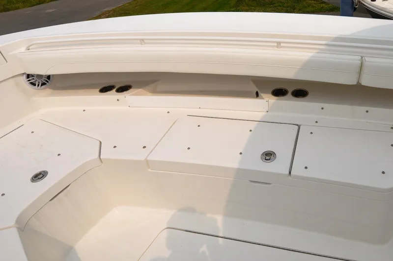 Slide: The Image of Regulator 31 - Blue Fox - 65