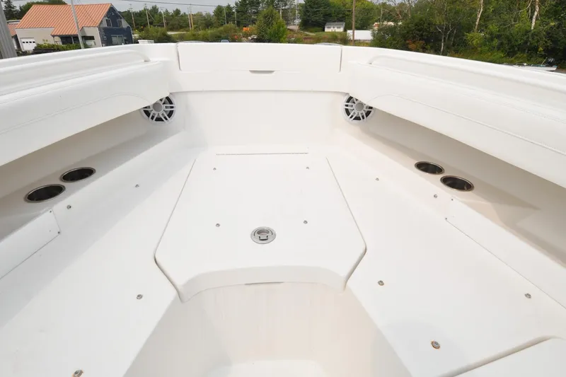 Slide: The Image of Regulator 31 - Blue Fox - 66