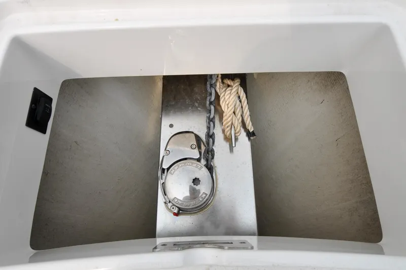 Slide: The Image of Regulator 31 - Blue Fox - 67